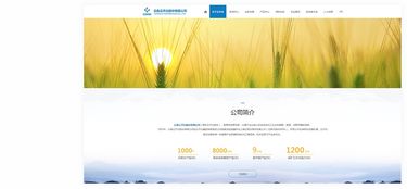 昆明奧遠(yuǎn)科技 專業(yè)網(wǎng)站建設(shè)與新媒體運(yùn)營(yíng)服務(wù)商