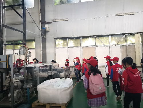 探秘環保工廠，爭當綠色先鋒——本報小記者化身環保大使走進賽高環保工廠
